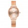 流行時尚米蘭網帶女士手錶 免運費